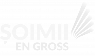Șoimii en Gross